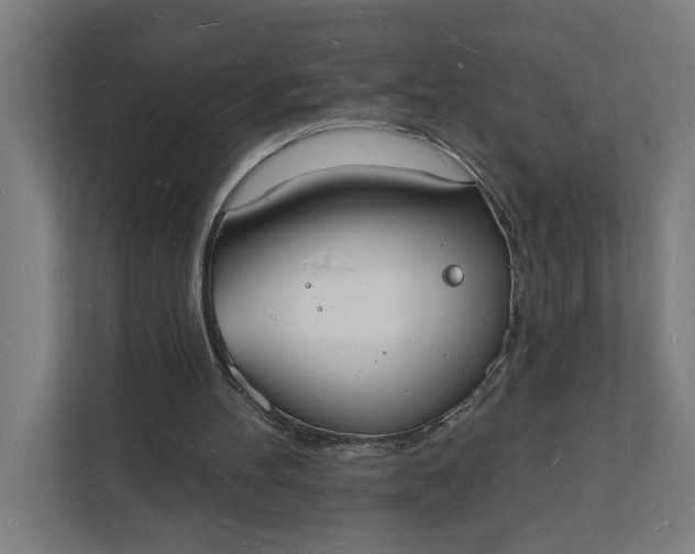 X0000112140100200908211401