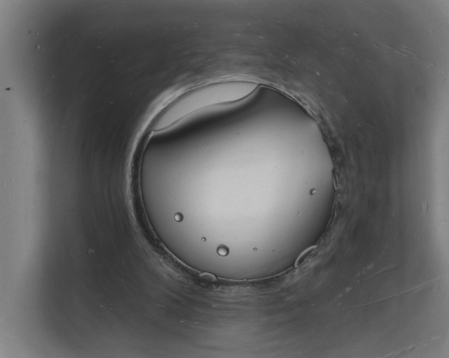 X0000112140104200908211401