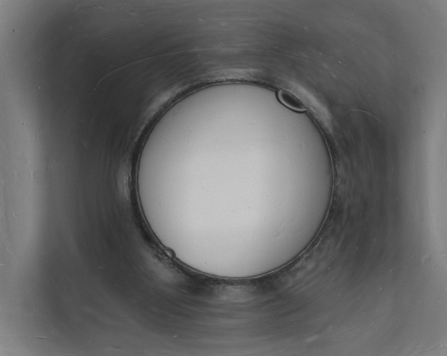 X0000112140107200908211401