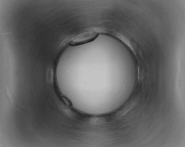 X0000112140109200908211401