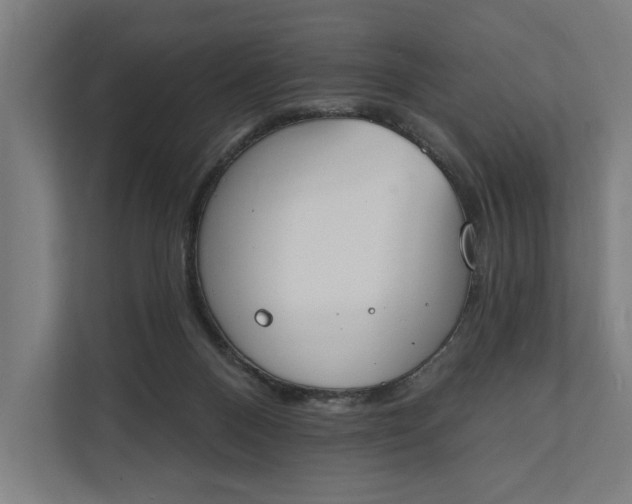 X0000112140120200908211401