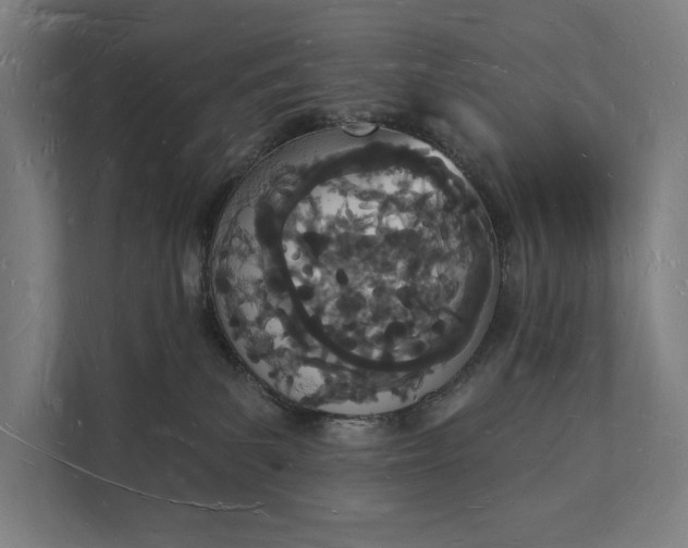 X0000112140139200908211400