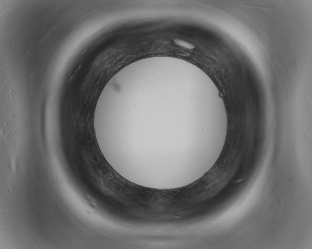 X0000112140142200908211400