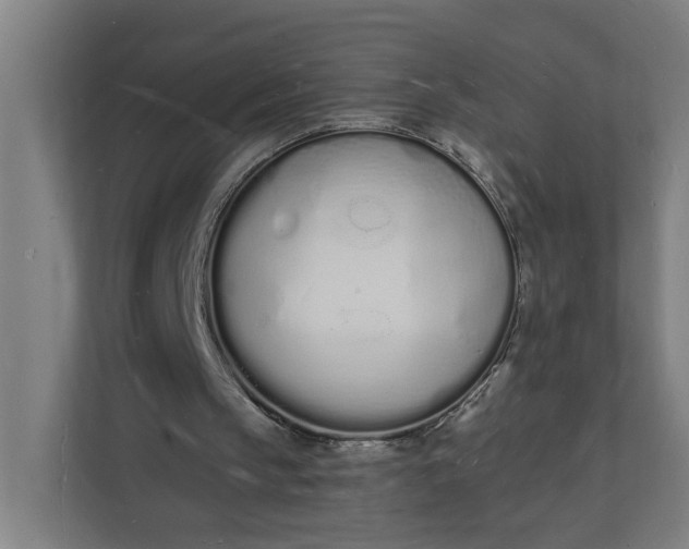 X0000112140145200908211359