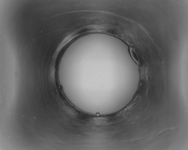 X0000112140150200908211400