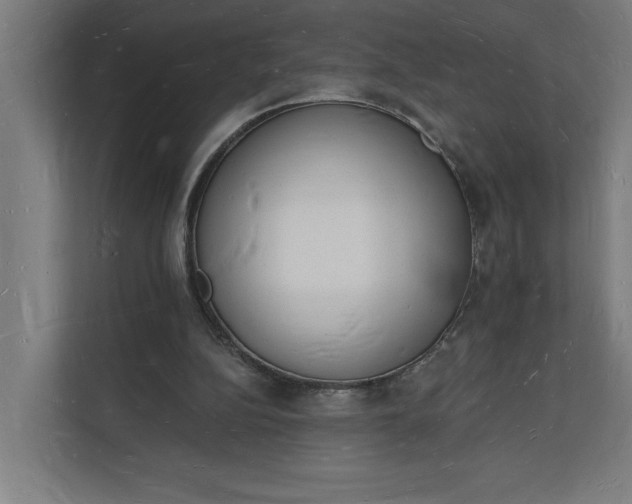 X0000112140152200908211400