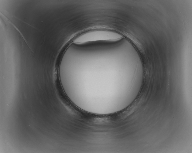 X0000112140160200908211400