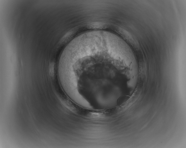 X0000112140167200908211400