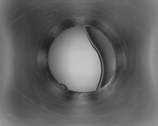 X0000112140186200908211400