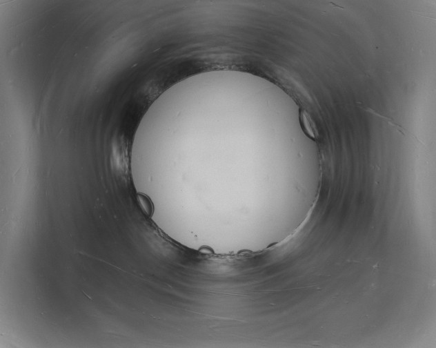 X0000112140190200908211400