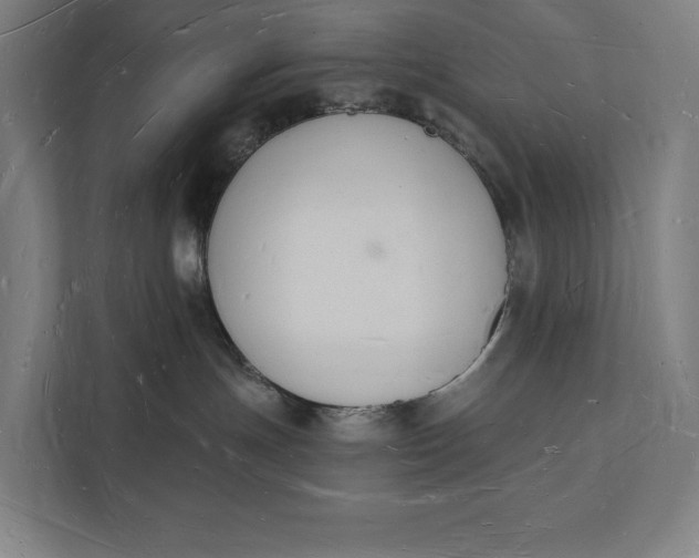 X0000112140191200908211400