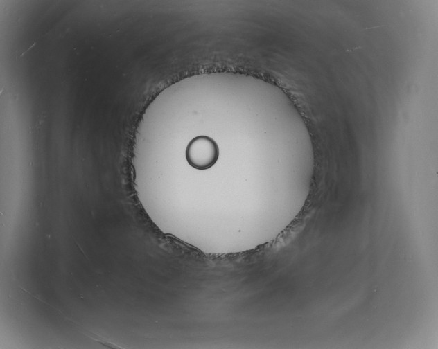 X0000112140192200908211400