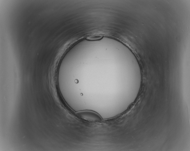 X0000112140193200908211359