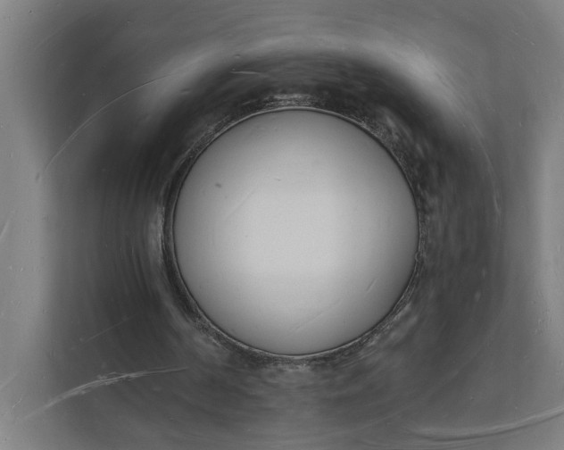 X0000112140194200908211359