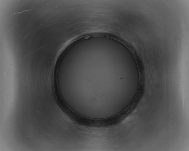 X0000112140196200908211359