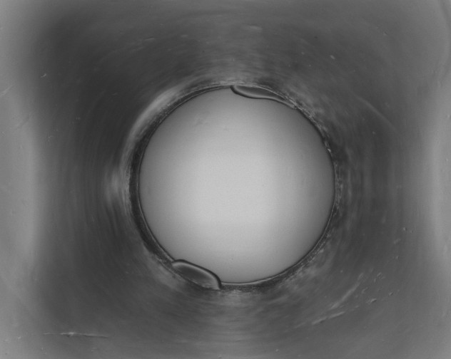 X0000112140197200908211359