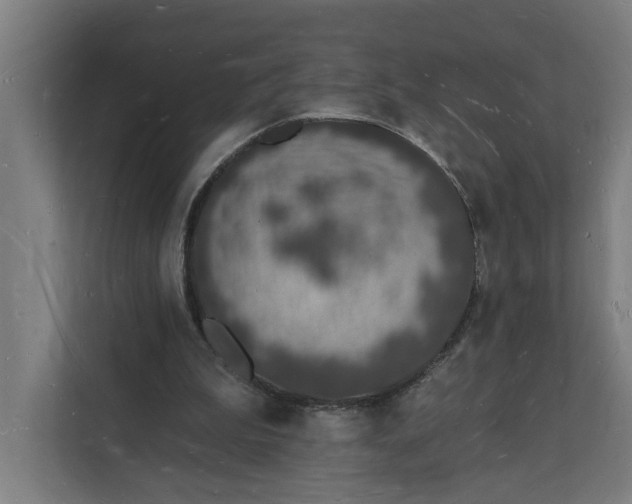 X0000112140199200908211359