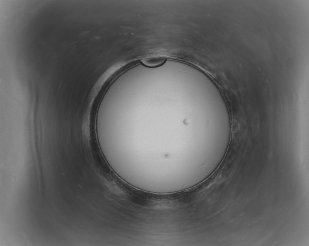 X0000112140200200908211359