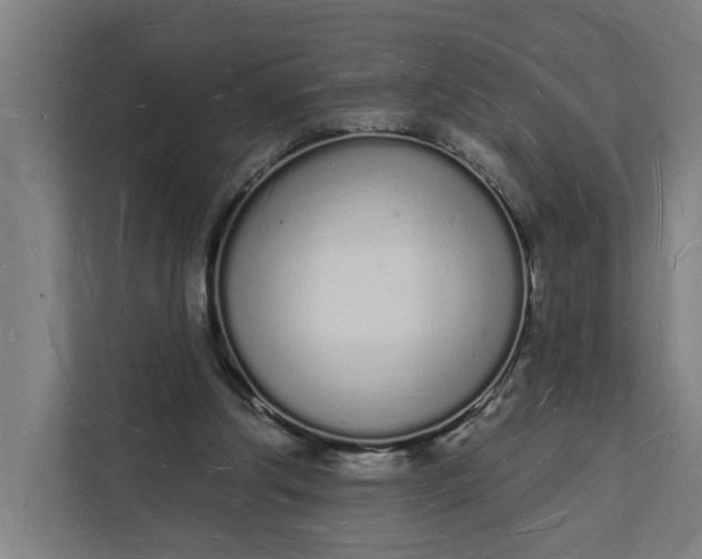 X0000112140202200908211359