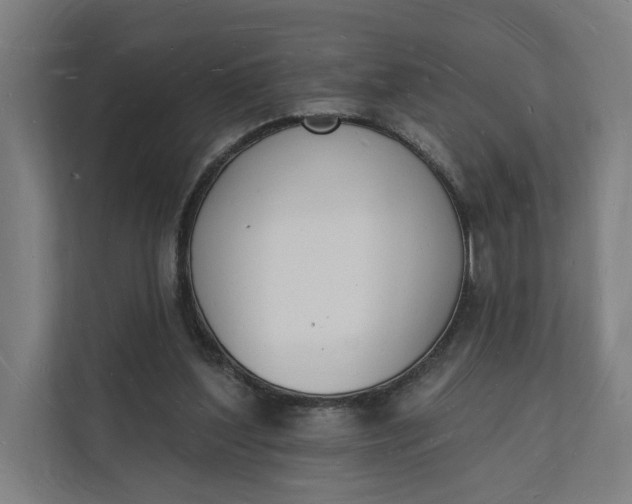 X0000112140204200908211359