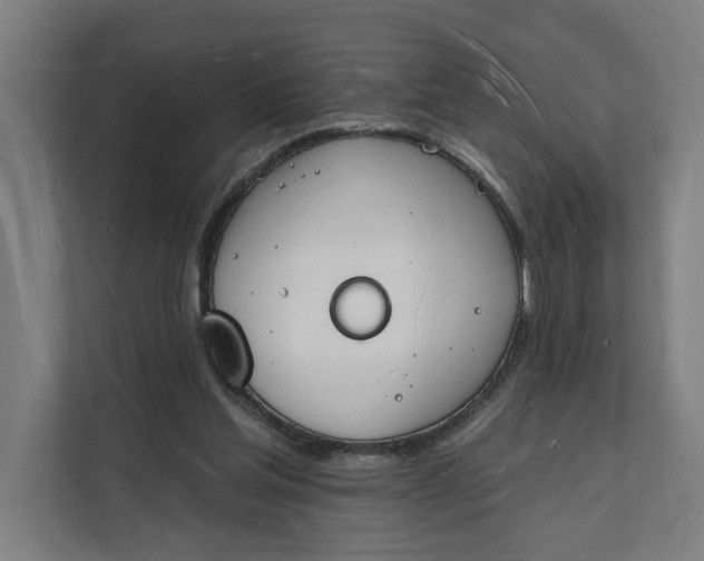 X0000112140205200908211359