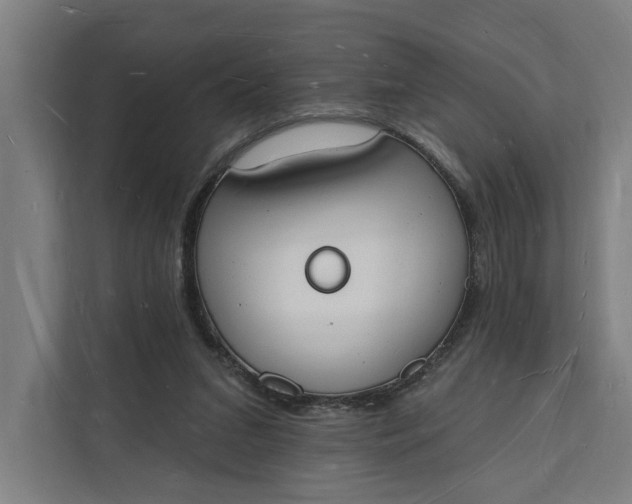 X0000112140207200908211359