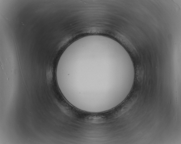 X0000112140208200908211359