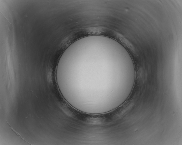 X0000112140209200908211359