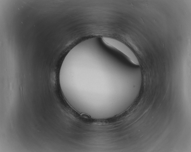 X0000112140211200908211359