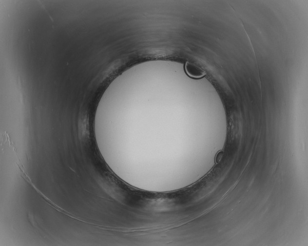 X0000112140212200908211359