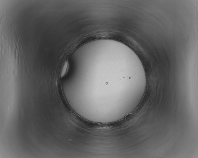 X0000112140217200908211359