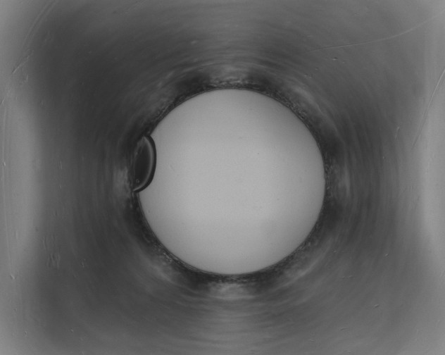 X0000112140224200908211359