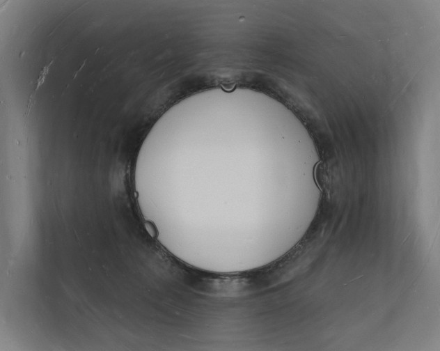 X0000112140225200908211359