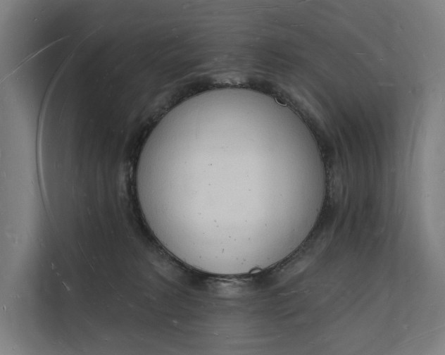 X0000112140229200908211359