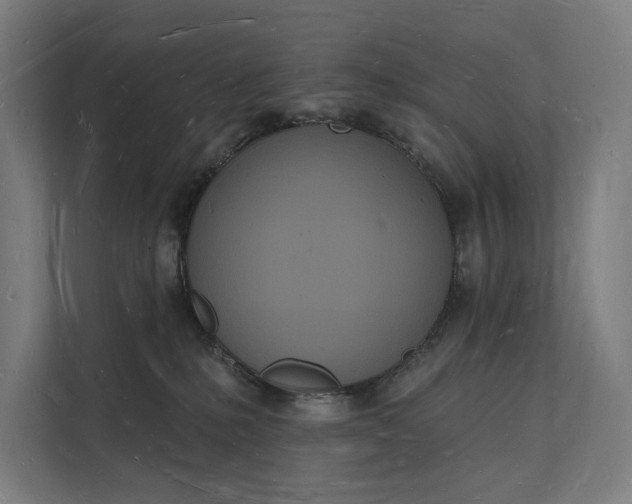 X0000112140231200908211359