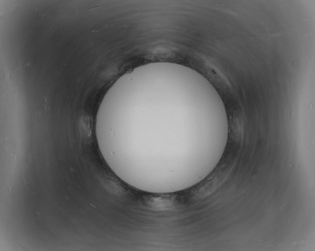 X0000112140232200908211359