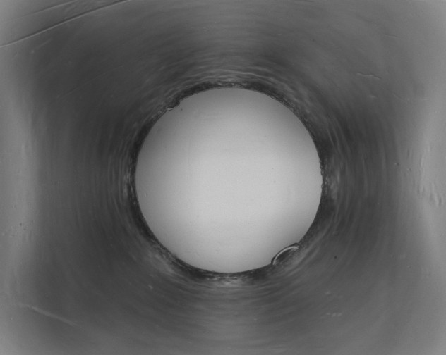 X0000112140235200908211359