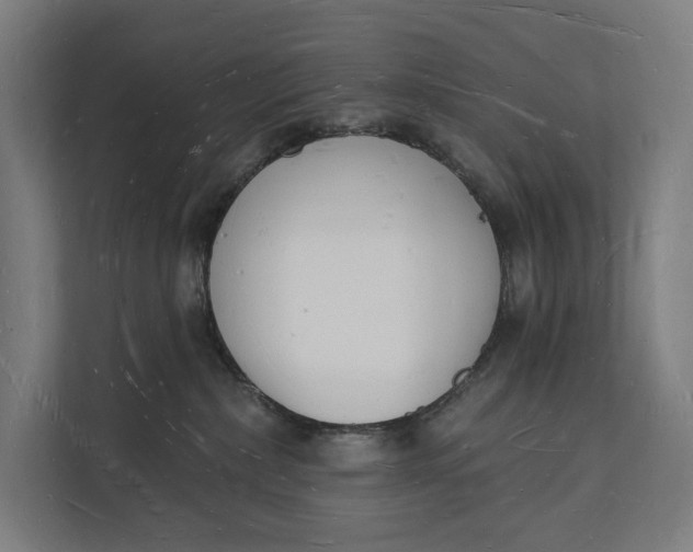 X0000112140236200908211359