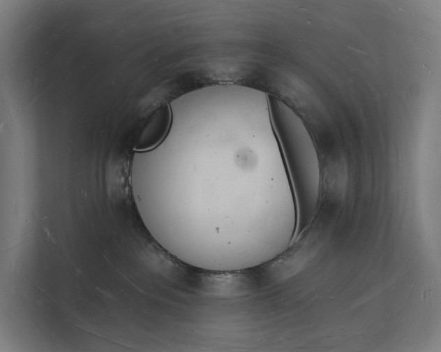 X0000112140237200908211359