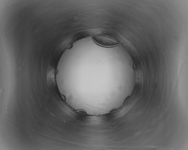 X0000112140238200908211359