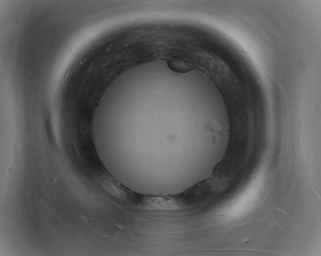 X0000112140239200908211359