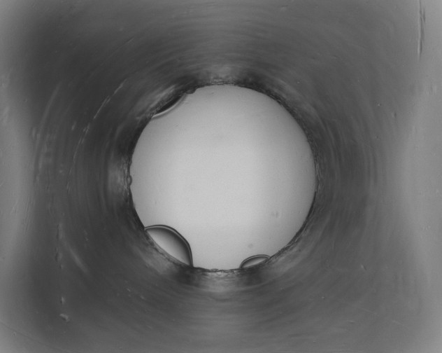 X0000112140240200908211359