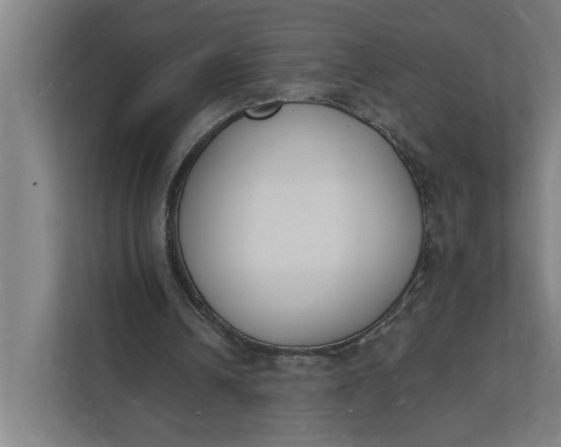 X0000112140242200908211358