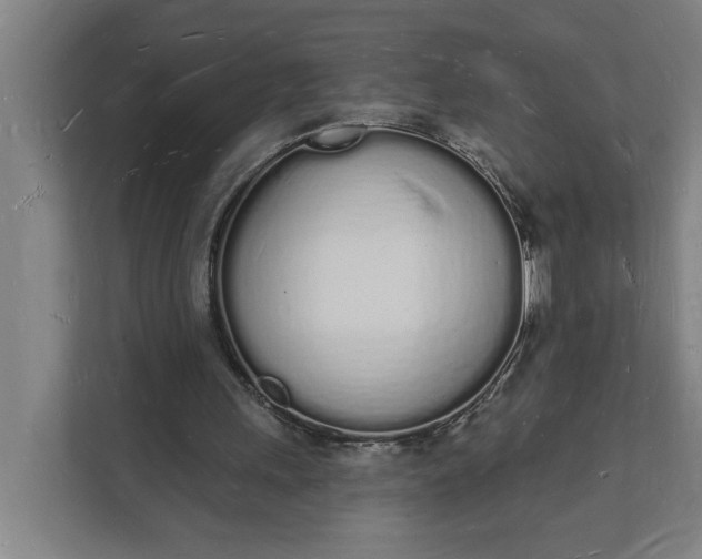 X0000112140243200908211358