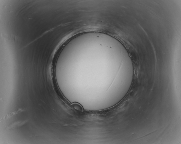 X0000112140244200908211358