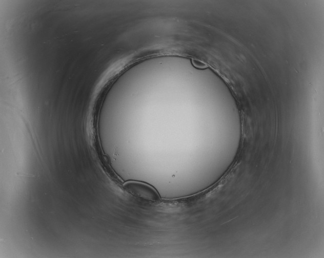 X0000112140245200908211358