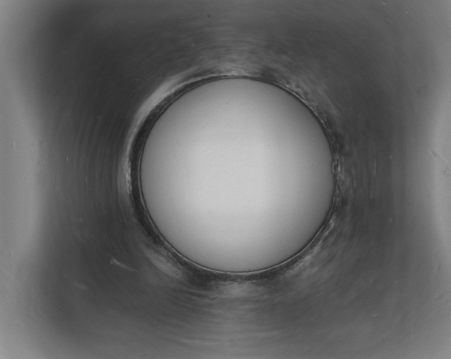 X0000112140246200908211358