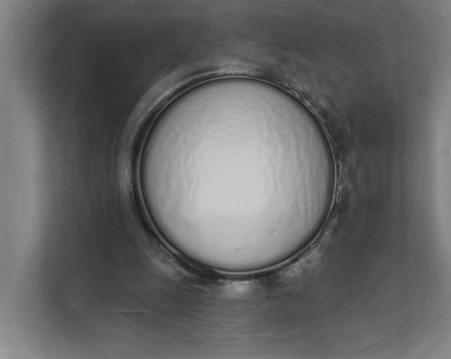 X0000112140247200908211358