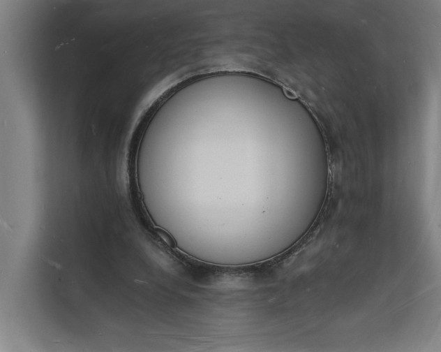 X0000112140248200908211358