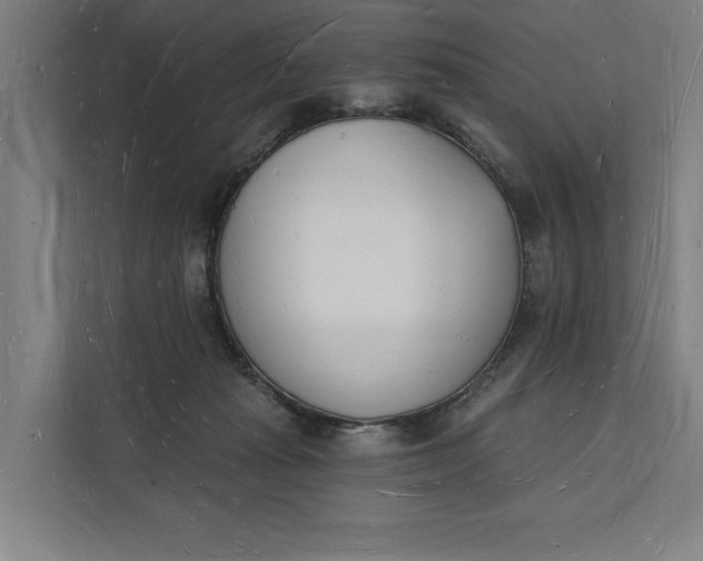 X0000112140269200908211359